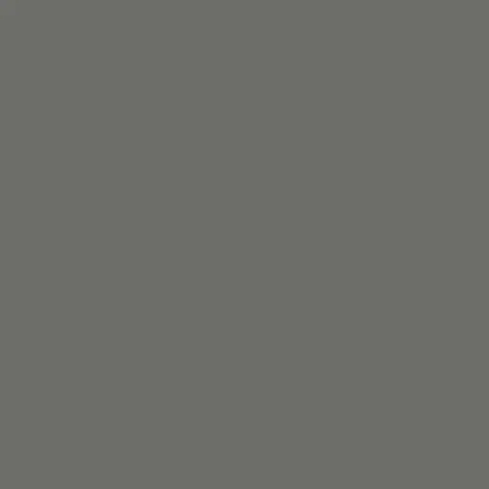 ՄԴՖ EVOGLOSS P-004-S.T.S Gray/1 խումբ