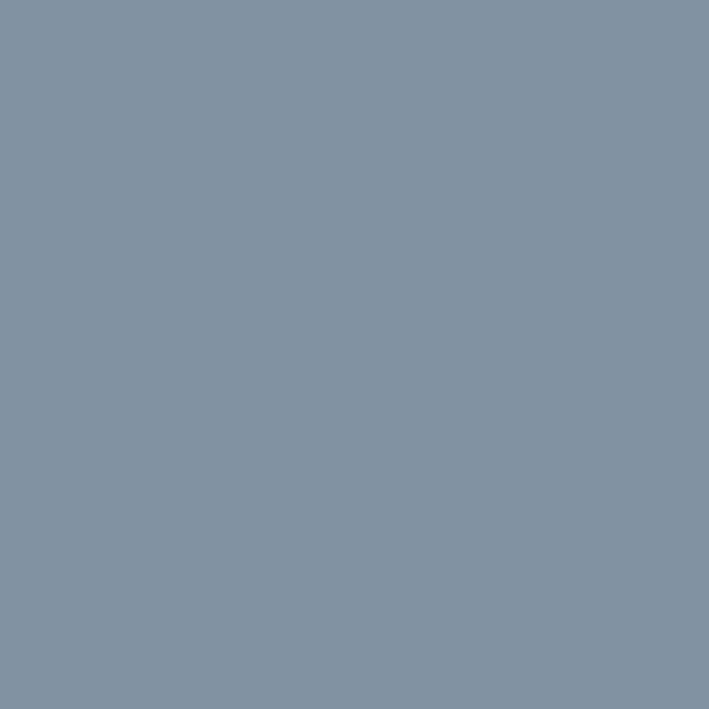 ՄԴՖ EVOGLOSS P-011 S.T.O. BLUE/1 խումբ